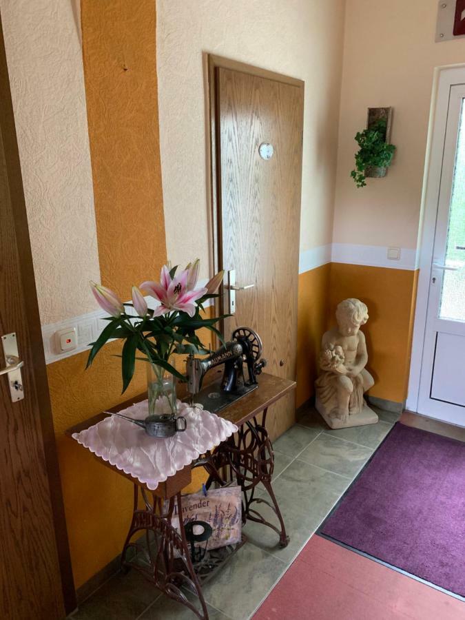 Pension Triebischtal Meissen Bagian luar foto